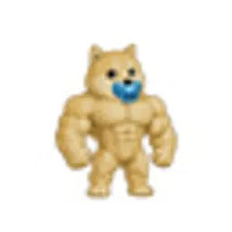 BABYSWOGE
