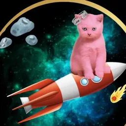 SaulPink Rocket token logo