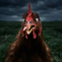 Stupid Chicken logo