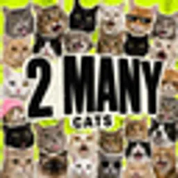 2MANY