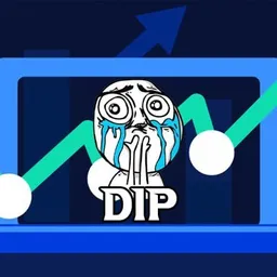 DIP token logo