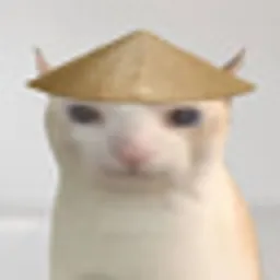 CHAT
