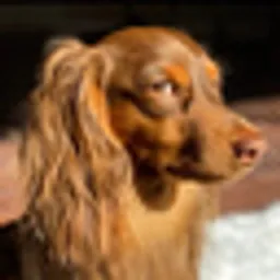 ODIE