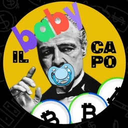 BABY IL CAPO token logo