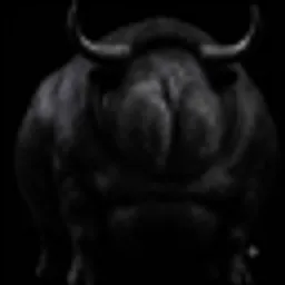 BUTTBULL