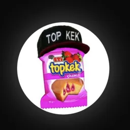 Topkek token logo