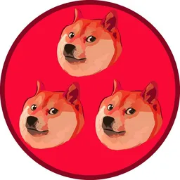 DOGE3.0