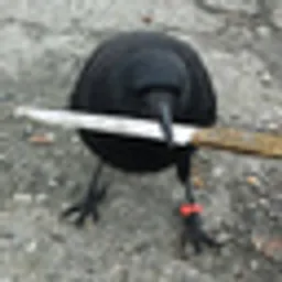 CAW