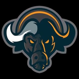 Buffalo Token token logo