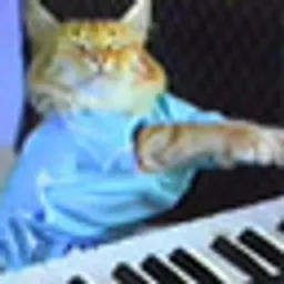 KEYCAT