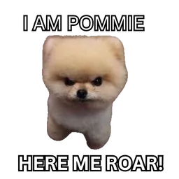 Pommie