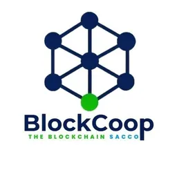 BLOCKS