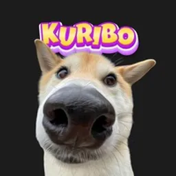 KURIBO