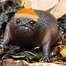 Frog Wif Hat token logo