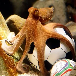 Paul the Octopus token logo