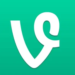 Vine