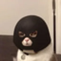 JUGGCAT