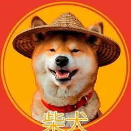 ChineseShiba token logo