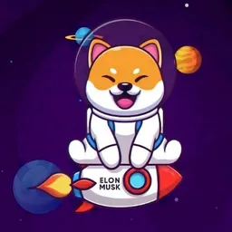 Starship Shib token logo