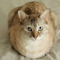 LOAF