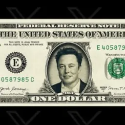 $ELONBUCKS 