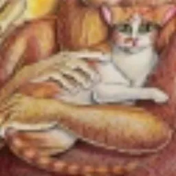 Matt Furies's Cat token logo