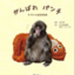 PUNCHBOOK