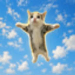 HAPPYCAT