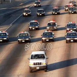 YOLO