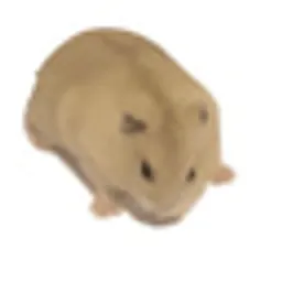 PUTHIMDOWN