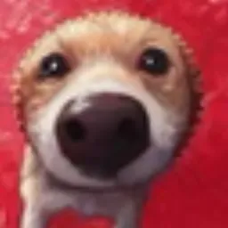 POCHITA
