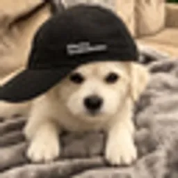 E/DOG
