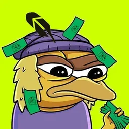 BIRDDOG