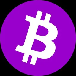 Purple Bitcoin token logo