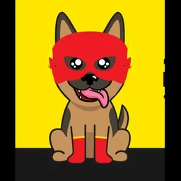 FLASHDOG