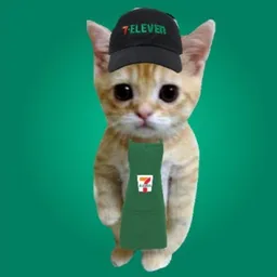 711cat