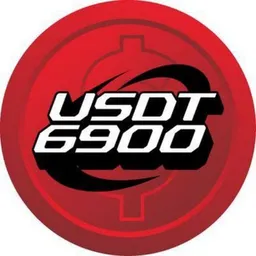 USDT6900 token logo