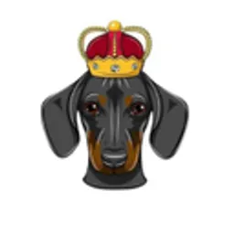 DogeKing  token logo