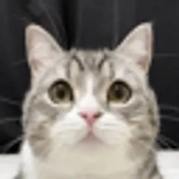 もちまる