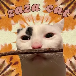 Zaza the cat token logo