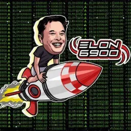 Elon 6900 token logo