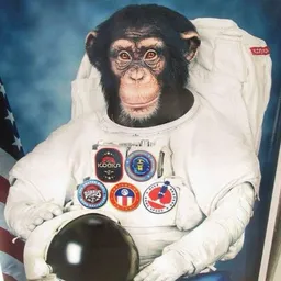 AstroChimp token logo