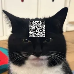 QR CAT token logo