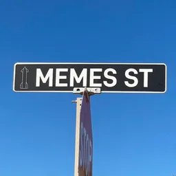 MEMES