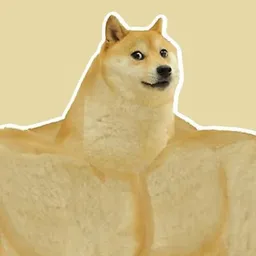 GDOGE