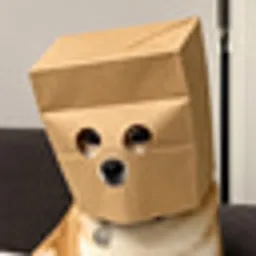 ZDOG