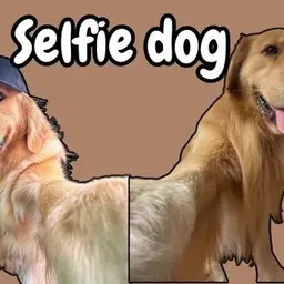 Selfie Dog token logo