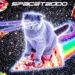 spacat2000