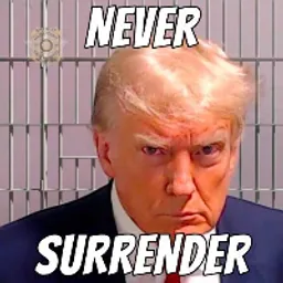 NEVER SURRENDER token logo