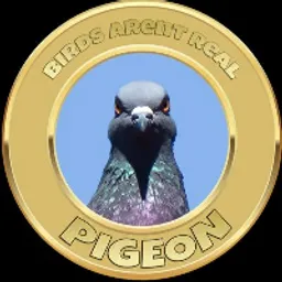 Pigeon token logo